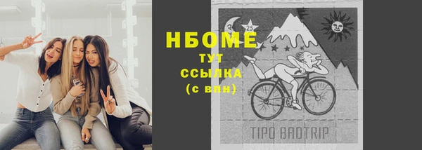 apvp Новозыбков
