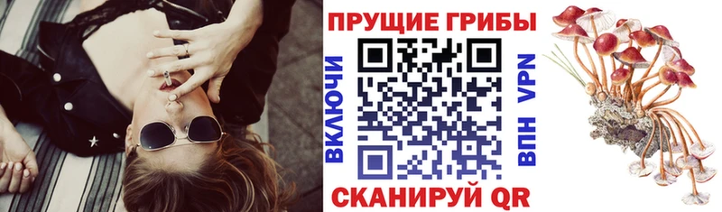 нарко площадка наркотические препараты  Анадырь  Псилоцибиновые грибы Psilocybine cubensis  даркнет сайт 